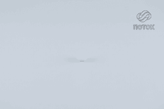 Деталь 21611020 1